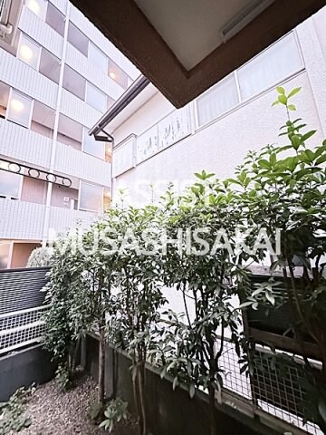 武蔵小金井駅 徒歩10分 1階の物件内観写真