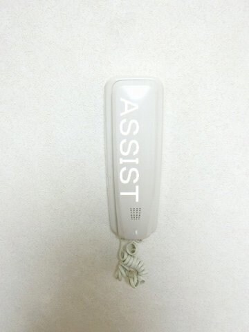 東小金井駅 徒歩12分 2階の物件内観写真