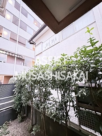 武蔵小金井駅 徒歩10分 1階の物件内観写真