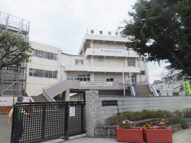 京王多摩川駅 徒歩8分 1階の物件内観写真