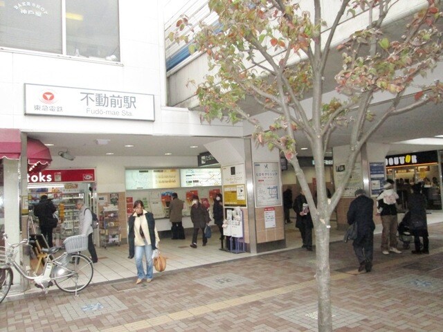 武蔵小山駅 徒歩10分 2-3階の物件内観写真