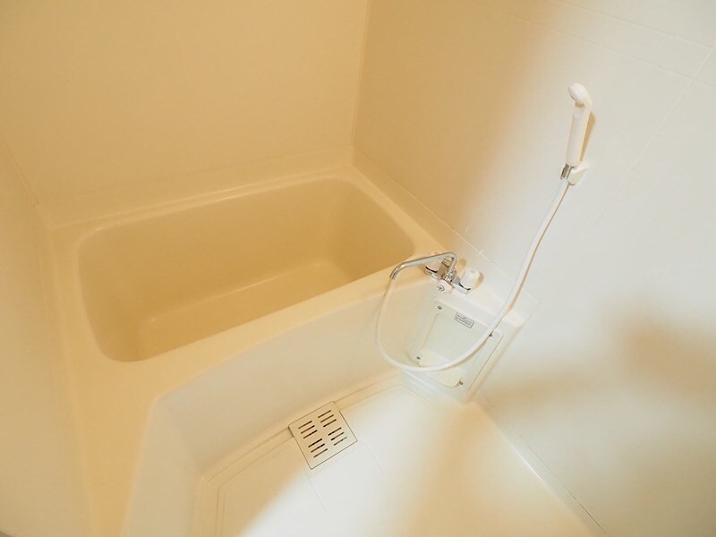 フェスタ白鳥の物件内観写真