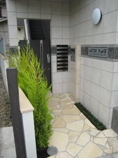 サットンプレイスＳ松ノ木の物件内観写真