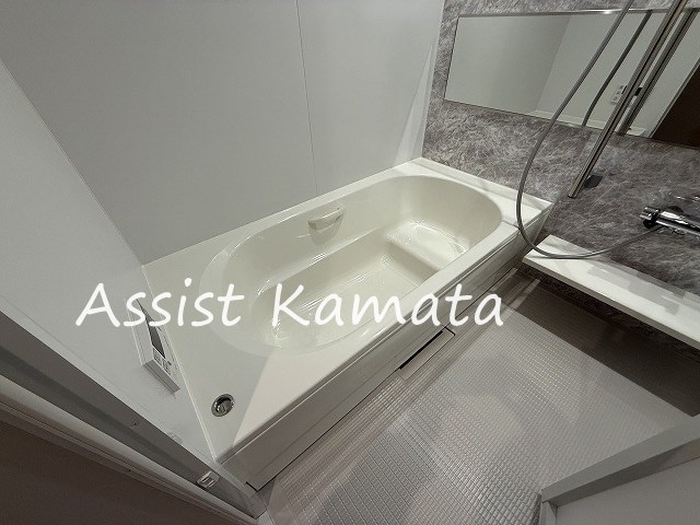 池上駅 徒歩8分 3階の物件内観写真