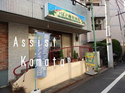 西馬込駅 徒歩9分 1-2階の物件内観写真