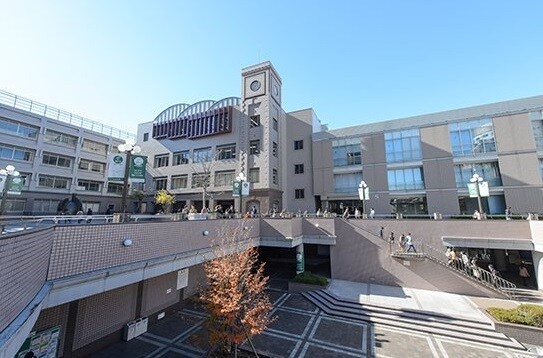 立会川駅 徒歩6分 1階の物件内観写真