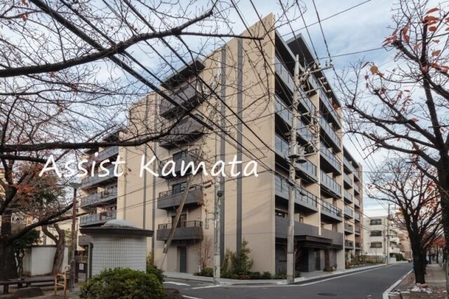 大森駅 徒歩11分 7階の物件外観写真