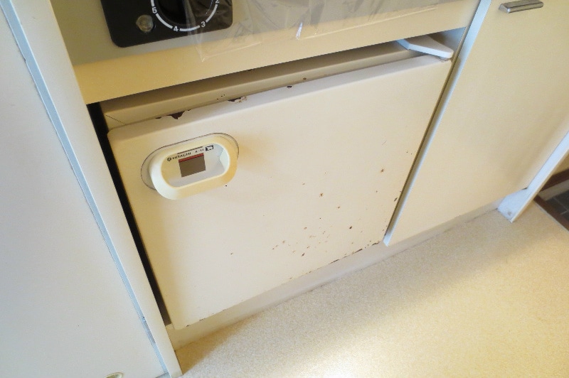 アップルハウス伊敷の物件内観写真