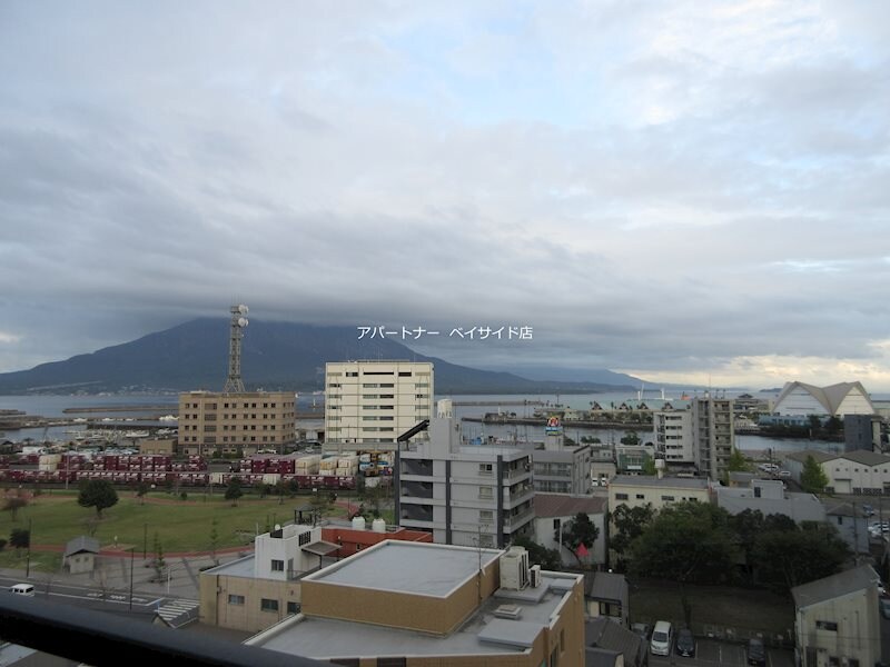 桜島桟橋通駅 徒歩1分 9階の物件内観写真