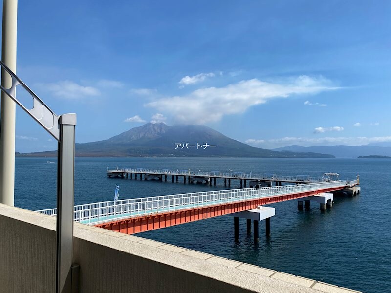 郡元駅 徒歩24分 4階の物件内観写真