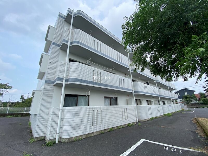 仙巌園駅 徒歩60分の物件外観写真