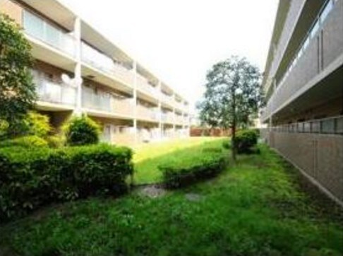 野方駅 徒歩5分 3階の物件内観写真