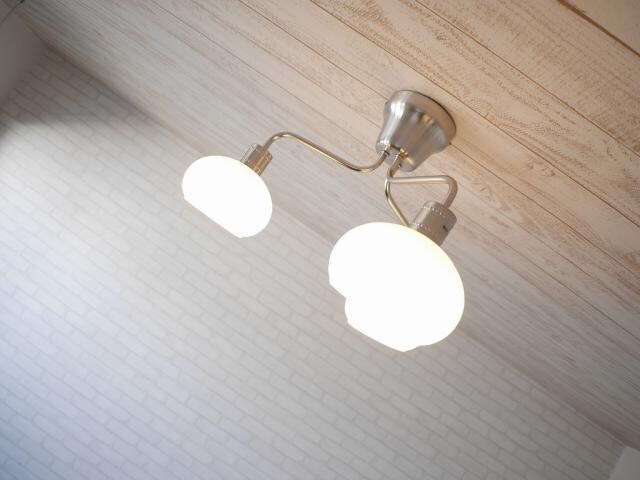 宇都宮駅 徒歩10分 3階の物件内観写真