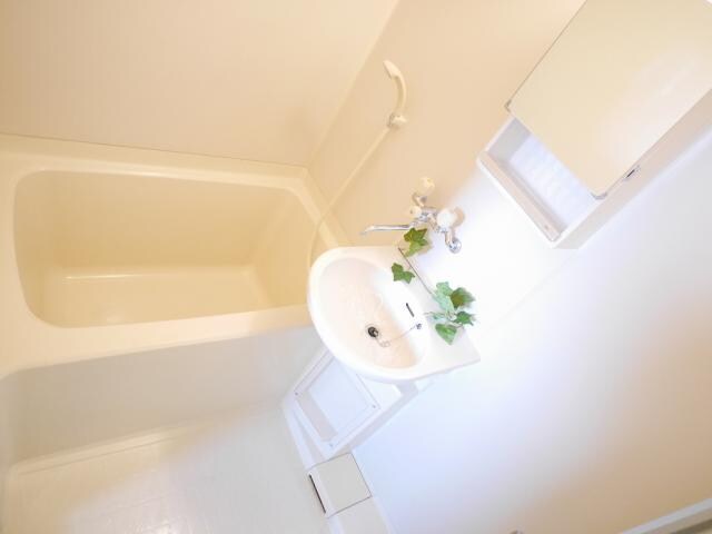 宇都宮駅 徒歩10分 3階の物件内観写真