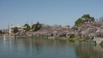 フジパレス帝塚山Ⅰ番館の物件内観写真