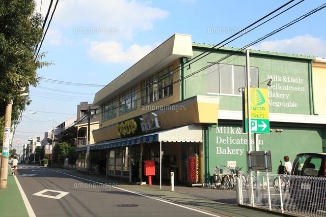 武蔵小金井駅 徒歩1分 8階の物件内観写真