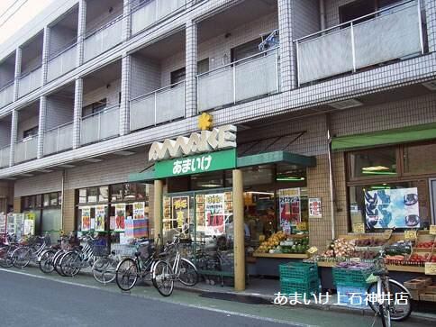 吉祥寺駅 徒歩16分 5階の物件内観写真