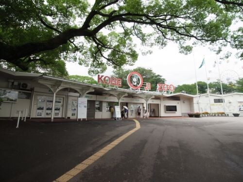 シェリール六甲道の物件内観写真