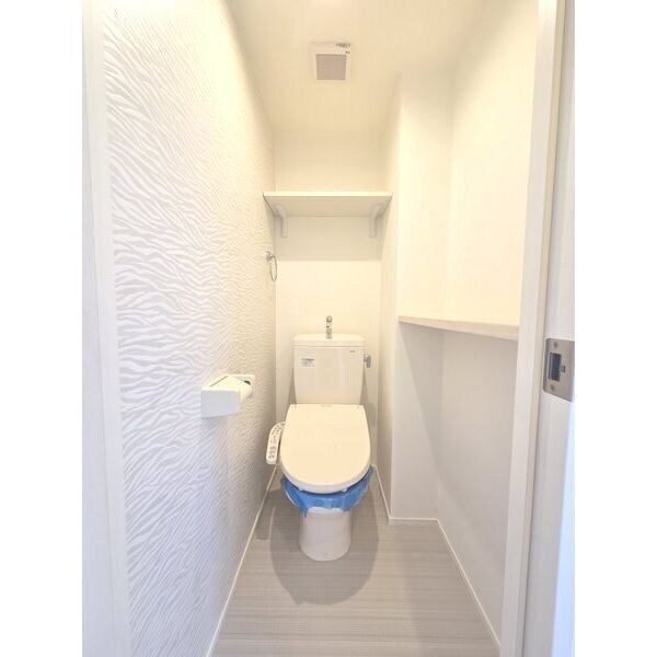 メゾン・ド・サントリナの物件内観写真