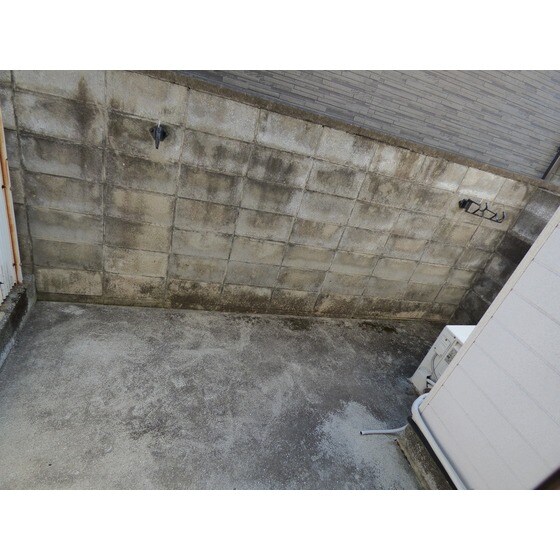 エクセルシオール壱番館の物件内観写真