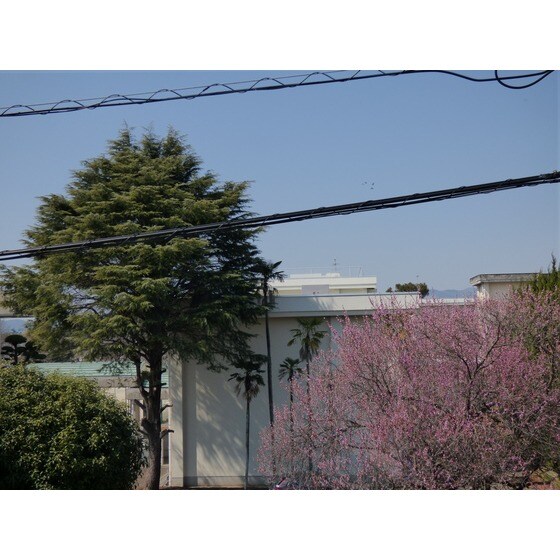 エクセルシオール壱番館の物件内観写真