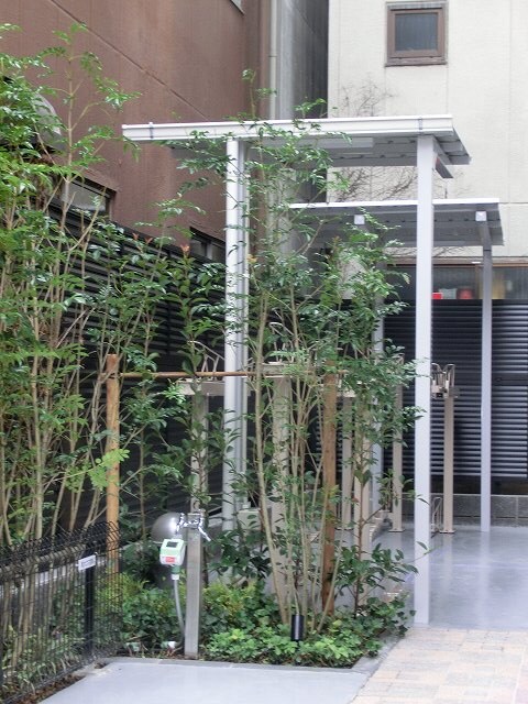 ジオエント御徒町の物件内観写真