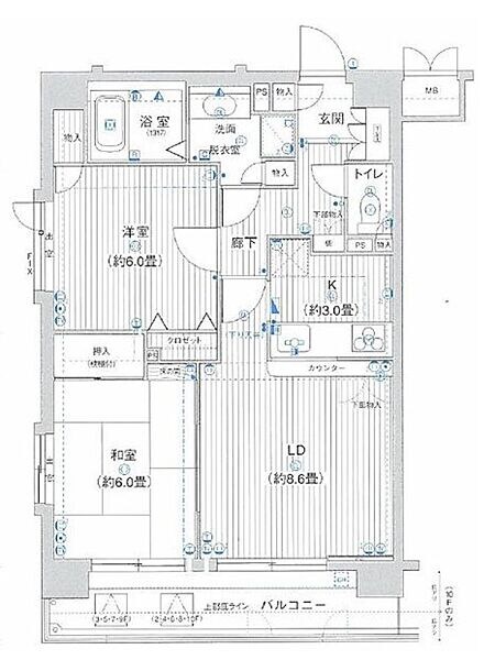 鶯谷駅 徒歩4分 5階の物件間取画像