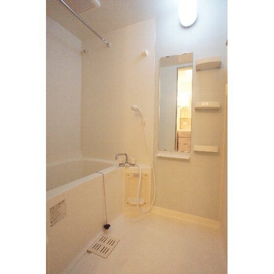 スターアリスⅥの物件内観写真