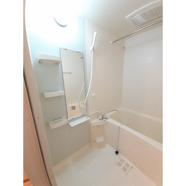 ナッツベリーハウス　Ａの物件内観写真