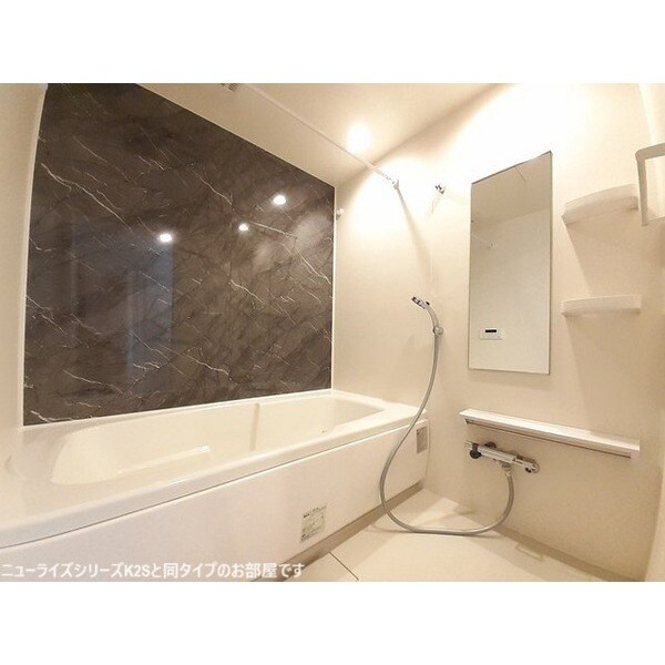 カメリア　板井　Ｂの物件内観写真