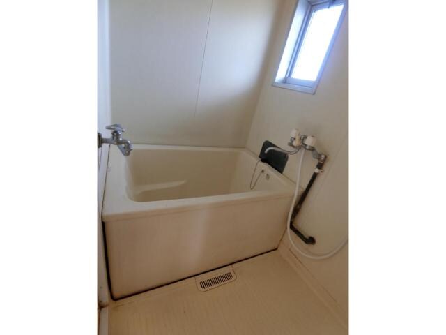 中津駅 徒歩40分 1階の物件内観写真