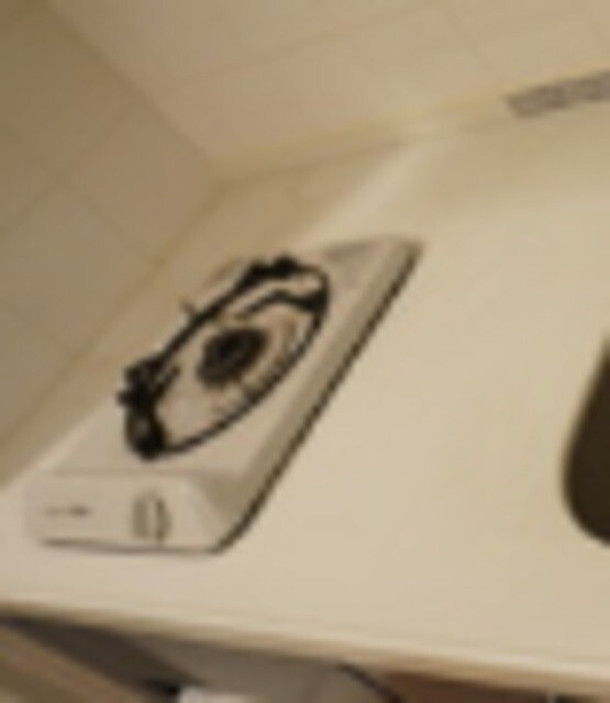 ファミール芝公園グランスイート　ラ・ヴィルの物件内観写真