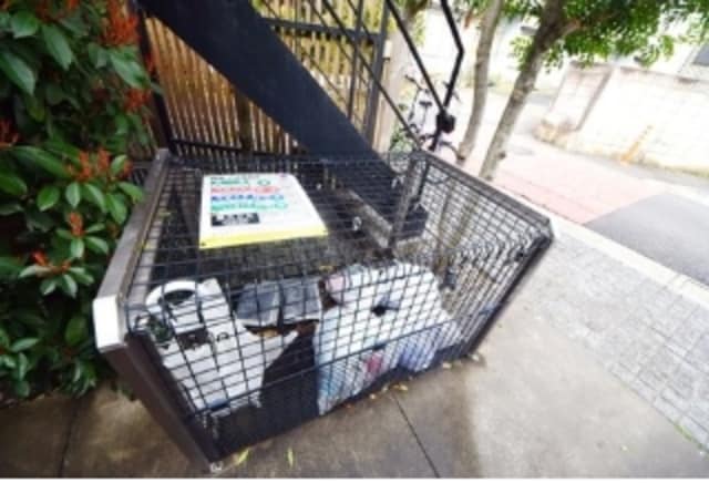 グランエッグス桜新町Ｓの物件外観写真