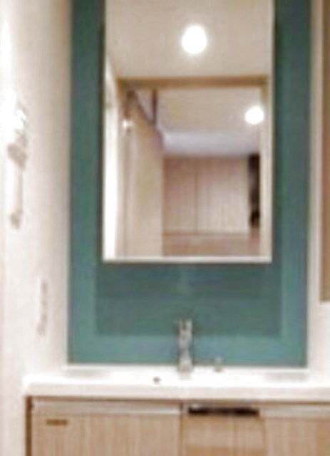 プレミアムフラットひばりヶ丘駅前の物件内観写真