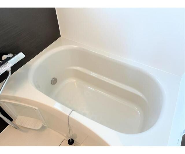 レジス飛鳥山公園の物件内観写真