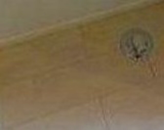 Villa Ailes 平和台の物件内観写真