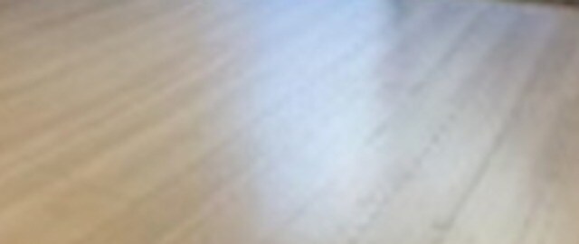 CS　GARDEN　IKEBUKUROの物件内観写真