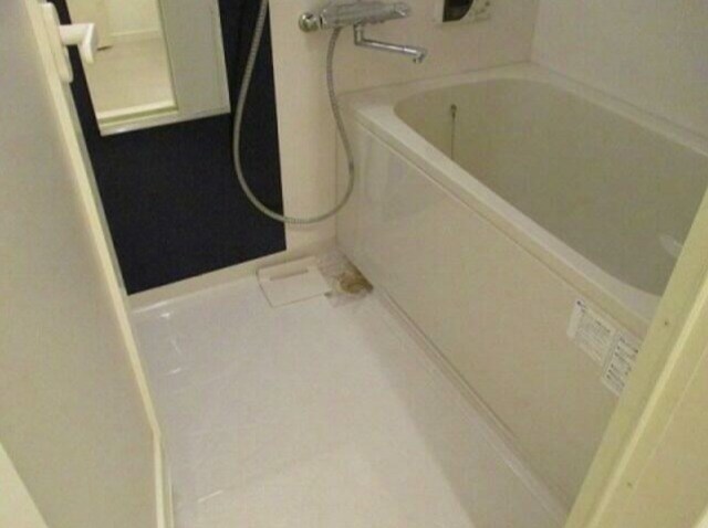 メゾン・ド・和の物件内観写真