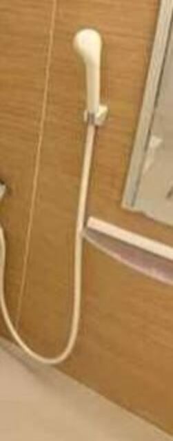 Elsaの物件内観写真