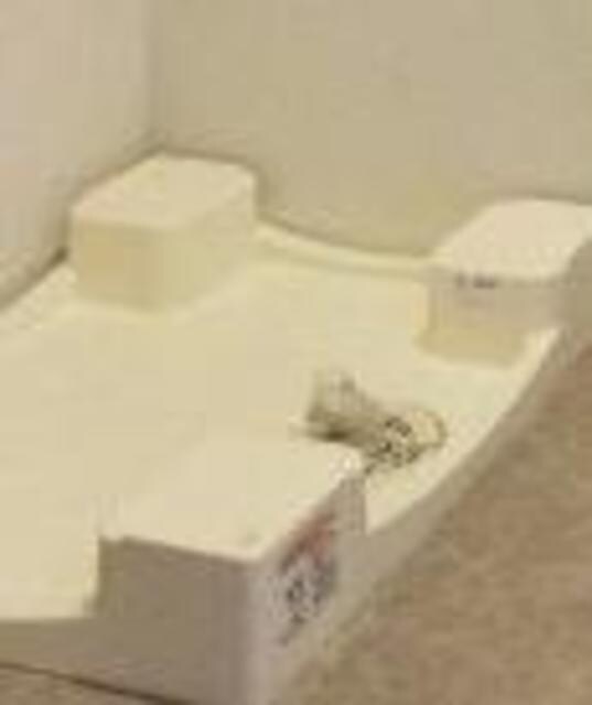 シンクロニシティ武蔵野の物件内観写真