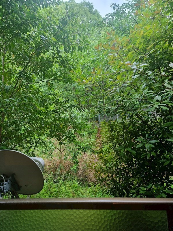 ファーストマンションの物件内観写真