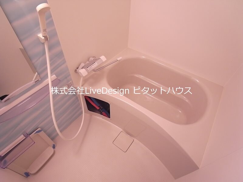 セレニテ神戸元町クレアの物件内観写真