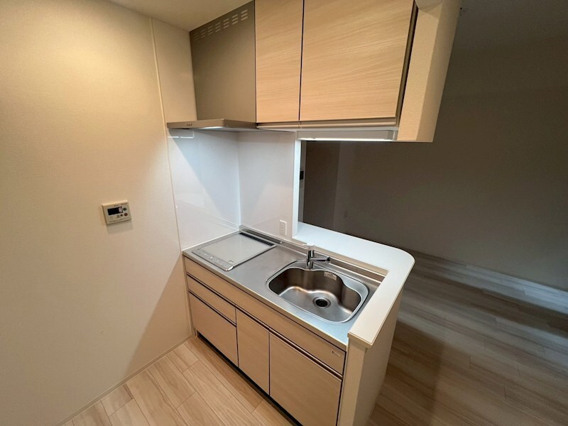 セレニテ神戸元町クレアの物件内観写真