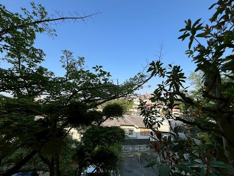 ヒルサイドテラス甲陽園の物件内観写真