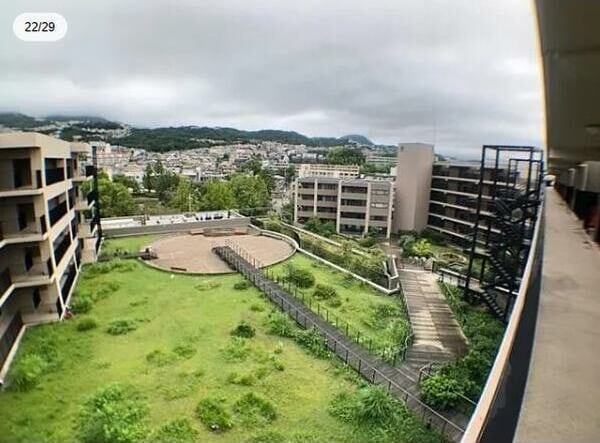 苦楽園口駅 徒歩9分 2階の物件内観写真