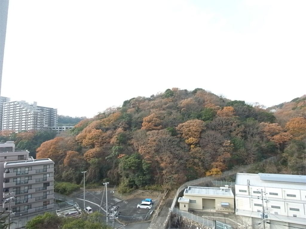 妙法寺駅 徒歩15分 6階の物件内観写真