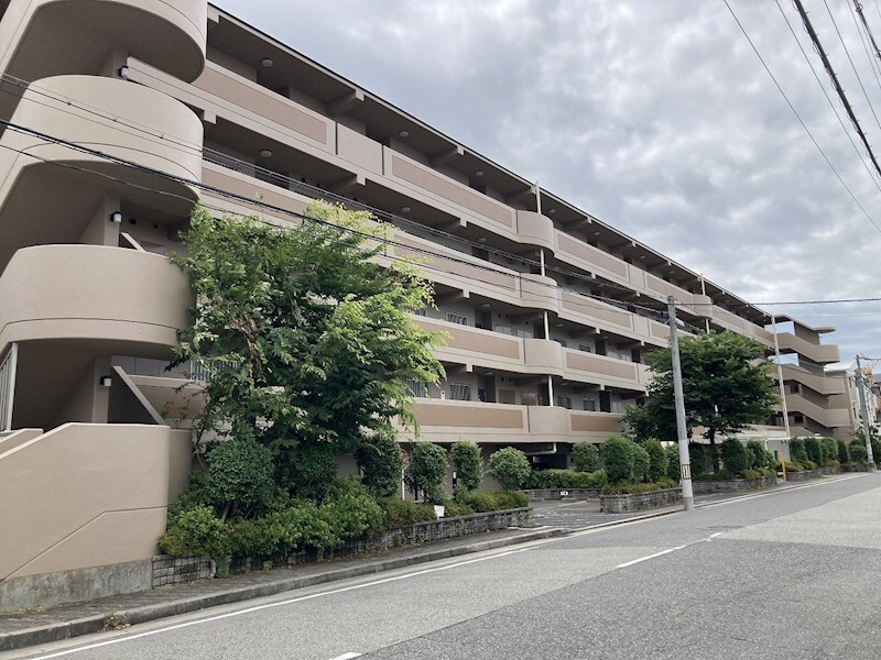 武庫川駅 徒歩6分 4階の物件外観写真