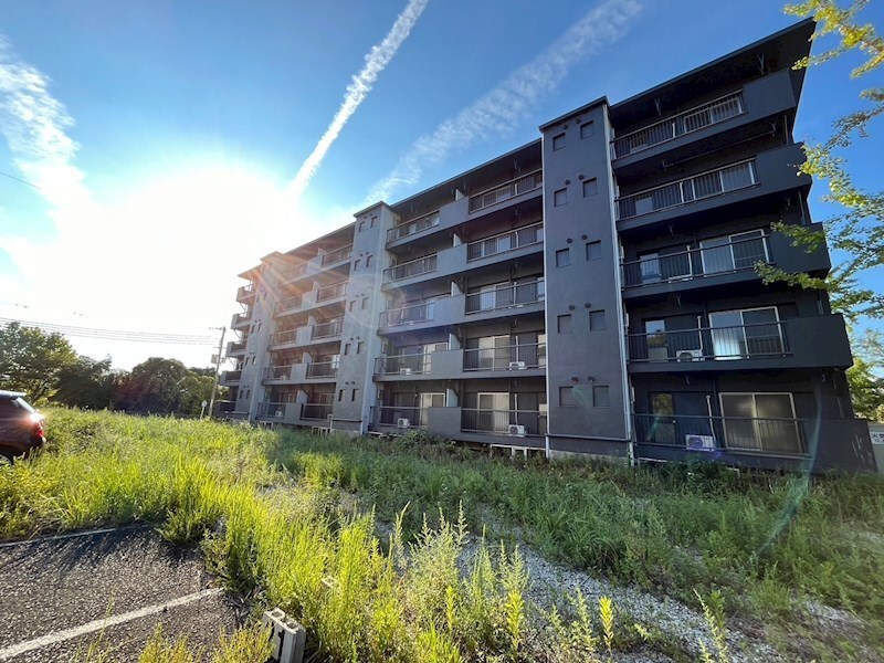 ドミールサニー緑町１号棟の物件内観写真