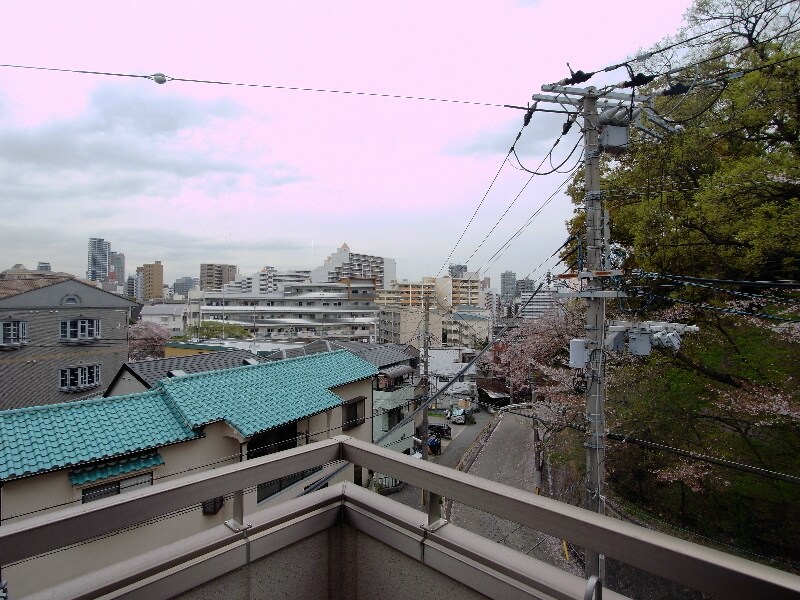 大倉山駅 徒歩10分 2階の物件内観写真