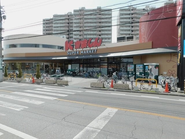 マーレンキィドームの物件外観写真